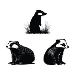 Obraz premium Badger a simple minimal black silhouette set