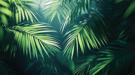 Lush green palm leaves are illuminated with a soft light