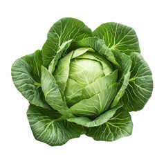 Obraz premium Fresh green cabbage with vibrant leaves isolated against a transparent background for culinary and nutritional purposes, fresh Green cabbage isolated on transparent background
