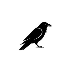 Silhouette of a Raven Bird on White Background Vector Illustration