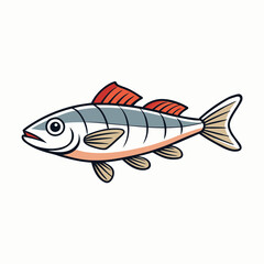 fish on a white background