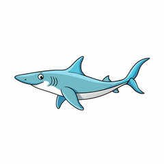 shark vector illustration