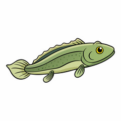 illustration of a mudskipper fish