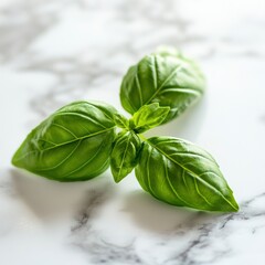 Obraz premium Fresh Basil Leaves on Marble Surface Capturing Vibrant Green Tones Culinary Herb Natural Light Kitchen Detail