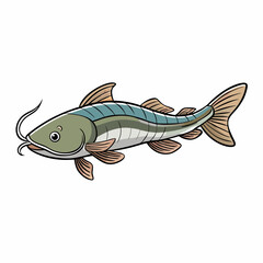 vector illustration of cartoon pictus catfish