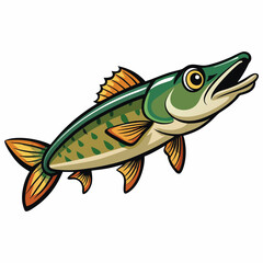vector illustration of pike fish