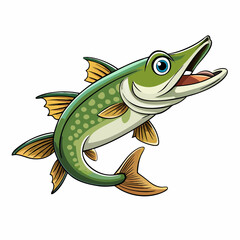 pike fish on white background