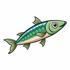 sardine fish on a white background