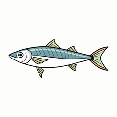 sardine fish on a white background