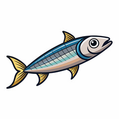 fish on a white background