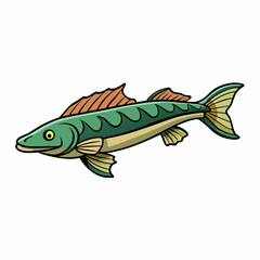 fish on white background