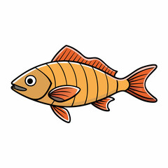 fish on a white background