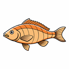 fish on a white background
