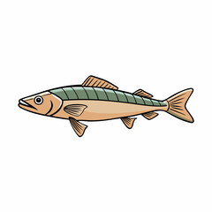 vector illustration of a fish
