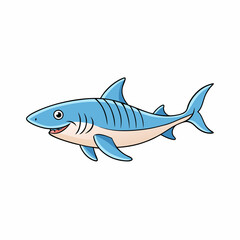 shark vector illustration