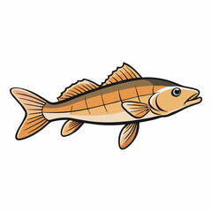 vector illustration of a fish