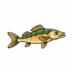 fish vector illustration