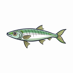 anchovy fish on a white background