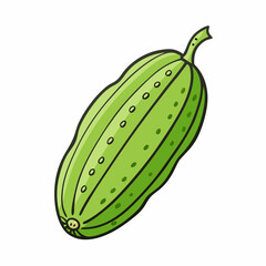 bitter melon vector illustration