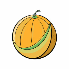 cantaloupe fruit on white background