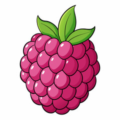 raspberry with leaves