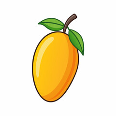 orange fruit vector illustration