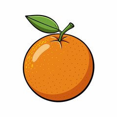vector illustration of an orange