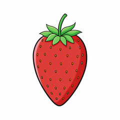 strawberry vector illustration