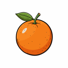 orange fruit vector illustration