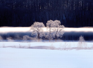 川霧と霧氷(更別村） © itoh masako