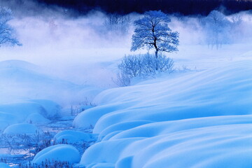 川霧（更別村） © itoh masako