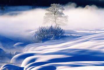 川霧（更別村） © itoh masako