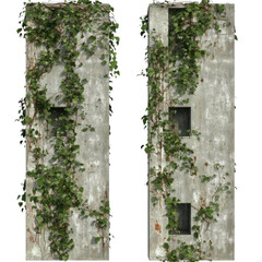 Vibrant ivy growth on weathered walls urban setting nature image