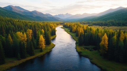 Fototapeta premium Idyllic river meandering through a tranquil forest filled with lush green trees and natural beauty