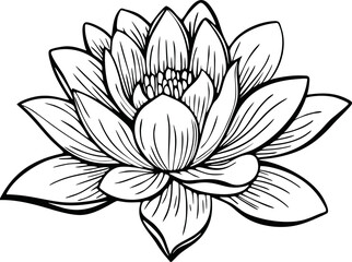 Obraz premium lotus lineart vector. illustration vesak day design element eps5