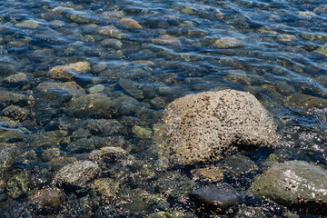 Close-up of vivid wet rocks along a shoreline, displaying intricate natural textures and vibrant colors