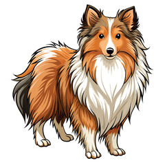 A fluffy Shetland Sheepdog, thick coat, standing proudly,  outdoor setting, natural light.