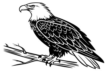 Eagle black vector illustration isolated on a transparent background