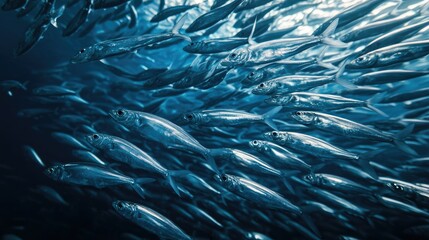 A massive shoal of silver fish swimming in perfect synchronization, forming mesmerizing patterns in the water.
