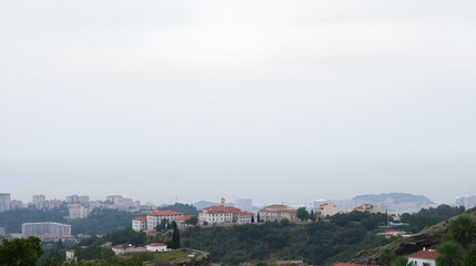 View of pero bravo esmolfe on white background