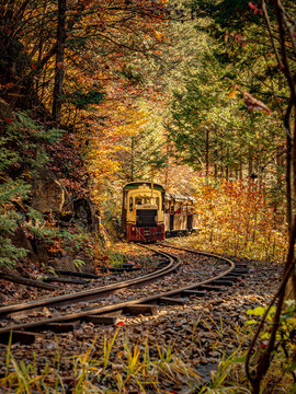 赤沢森林鉄道