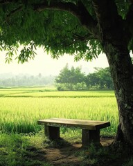 Peaceful Rural Scene