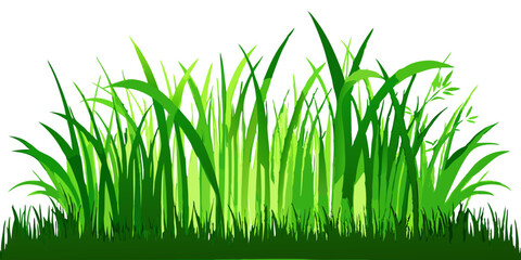 Fototapeta premium Green Grass Meadow Border | Natural Decorative Vector