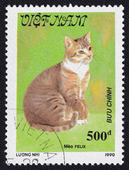 A ginger cat is depicted on a postage stamp printed in Vietnam circa 1990.