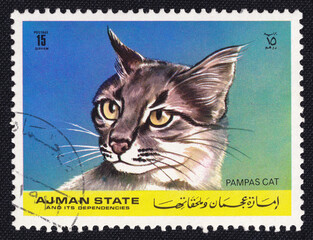 Big Pampas Cat is depicted on an old vintage cancelled postage stamp printed in Ajman state and its...