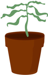 Nature-Inspired Indoor Plants in Pots