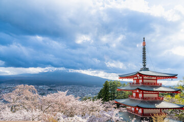 Fujiyoshida, Yamanashi, Japan - APR 17, 2024: Arakura Fuji Sengen Jinja Shrine. Mt Fuji with red pagoda in cherry blossom sakura in spring season .