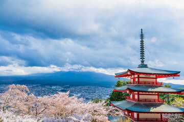 Fujiyoshida, Yamanashi, Japan - APR 17, 2024: Arakura Fuji Sengen Jinja Shrine. Mt Fuji with red pagoda in cherry blossom sakura in spring season .