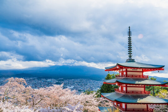 Fujiyoshida, Yamanashi, Japan - APR 17, 2024: Arakura Fuji Sengen Jinja Shrine. Mt Fuji with red pagoda in cherry blossom sakura in spring season .