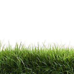 Obraz premium Lush Green Grass with Dew Drops Illuminated by Morning Sunlight